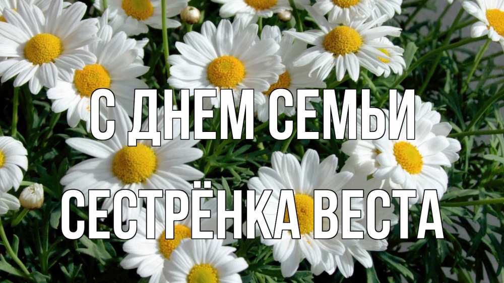 Открытка на каждый день с именем, Сестрёнка-Веста С днем семьи с днем семьи Прикольная открытка с пожеланием онлайн скачать бесплатно 