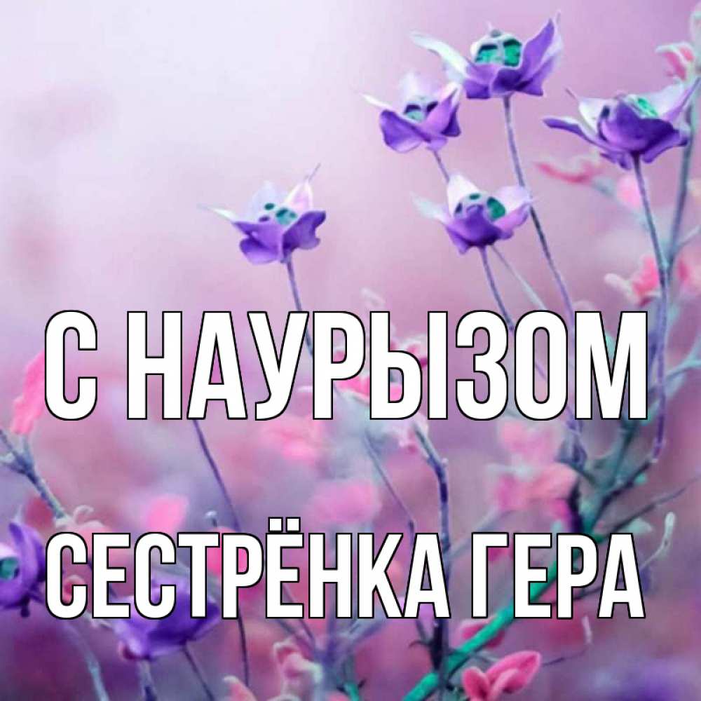 Открытка на каждый день с именем, Сестрёнка-Гера С наурызом международный женский день 2 Прикольная открытка с пожеланием онлайн скачать бесплатно 