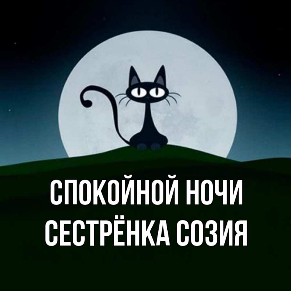 Открытка на каждый день с именем, Сестрёнка-Созия Спокойной ночи хорошо выспаться ночью и без кошмаров Прикольная открытка с пожеланием онлайн скачать бесплатно 