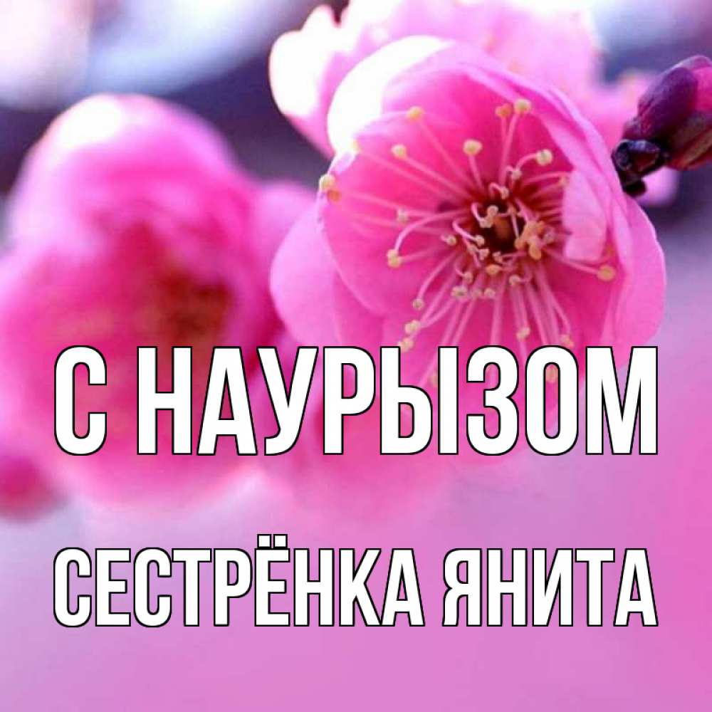 Открытка на каждый день с именем, Сестрёнка-Янита С наурызом международный женский день Прикольная открытка с пожеланием онлайн скачать бесплатно 