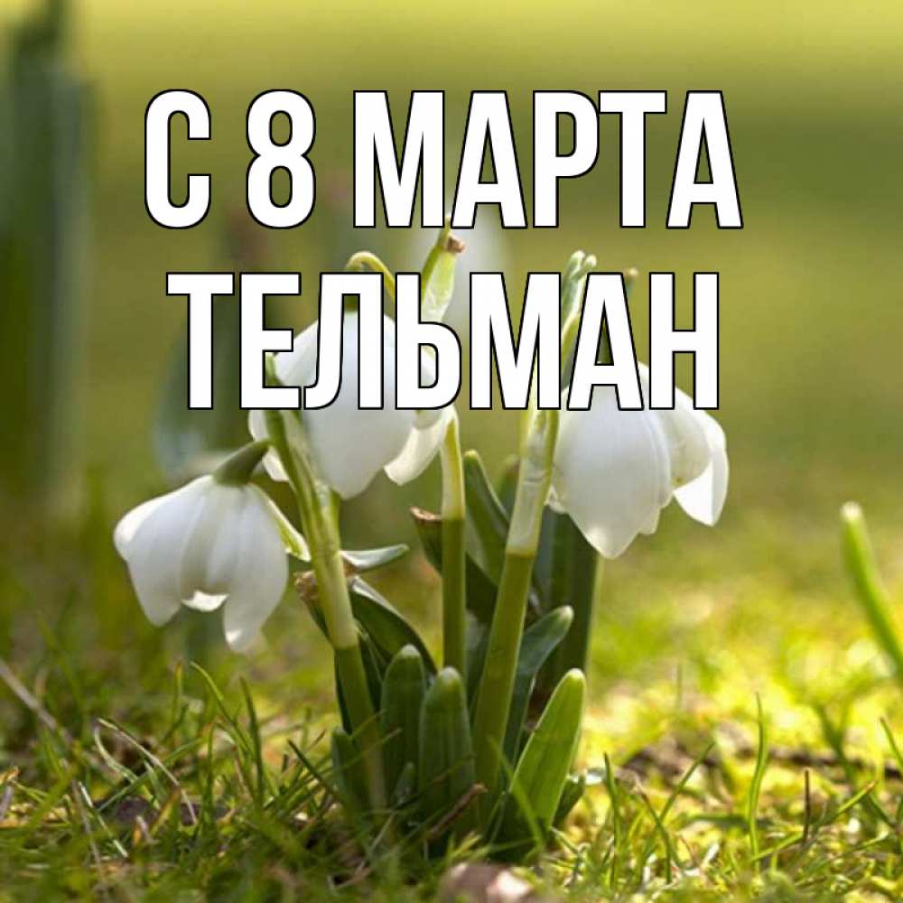 Открытка на каждый день с именем, Тельман С 8 МАРТА ранние цветы 2 Прикольная открытка с пожеланием онлайн скачать бесплатно 