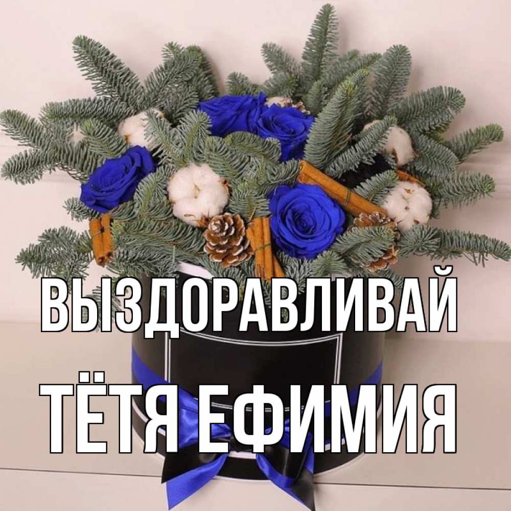 Открытка на каждый день с именем, Тётя-Ефимия Выздоравливай короче кто то загрузил эти шишки Прикольная открытка с пожеланием онлайн скачать бесплатно 