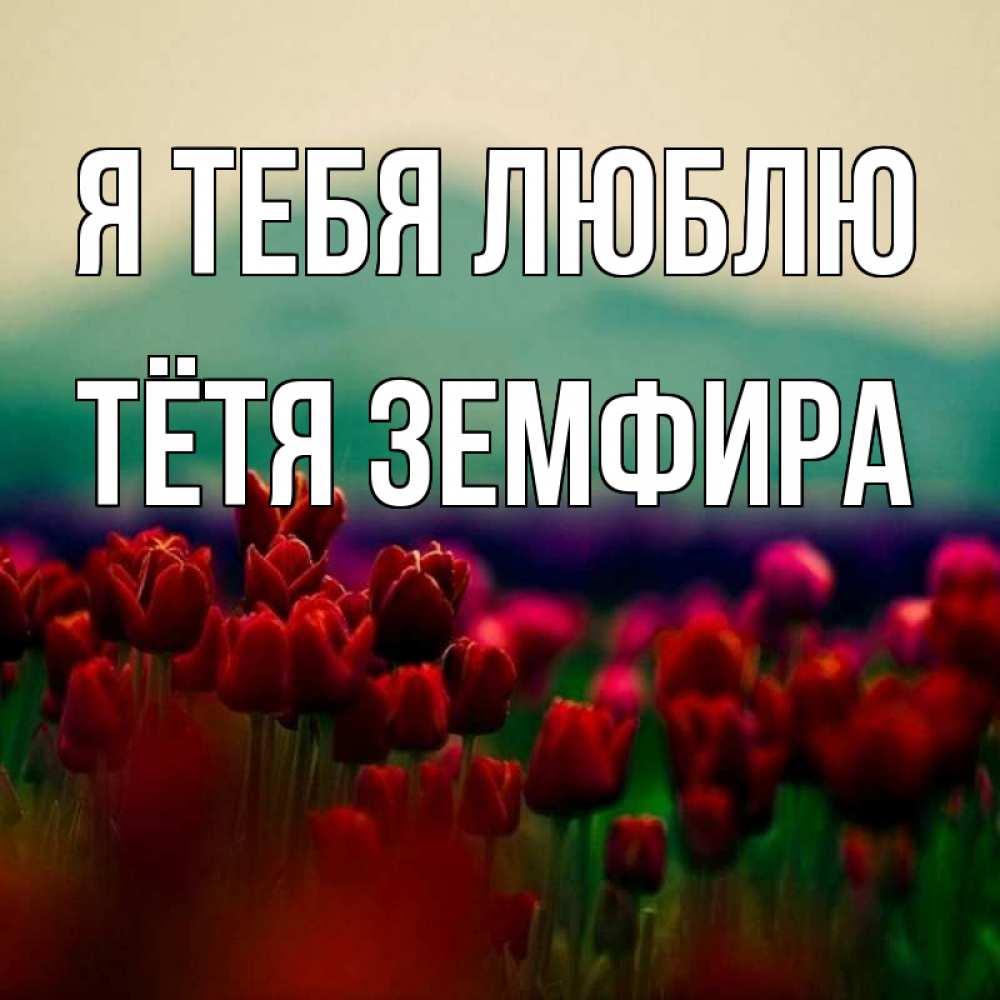 Открытка на каждый день с именем, Тётя-Земфира Я тебя люблю тюльпаны 4 Прикольная открытка с пожеланием онлайн скачать бесплатно 