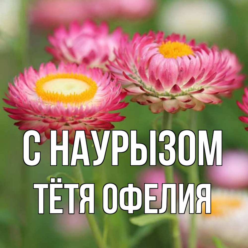 Открытка на каждый день с именем, Тётя-Офелия С наурызом подарок на международный женский день Прикольная открытка с пожеланием онлайн скачать бесплатно 