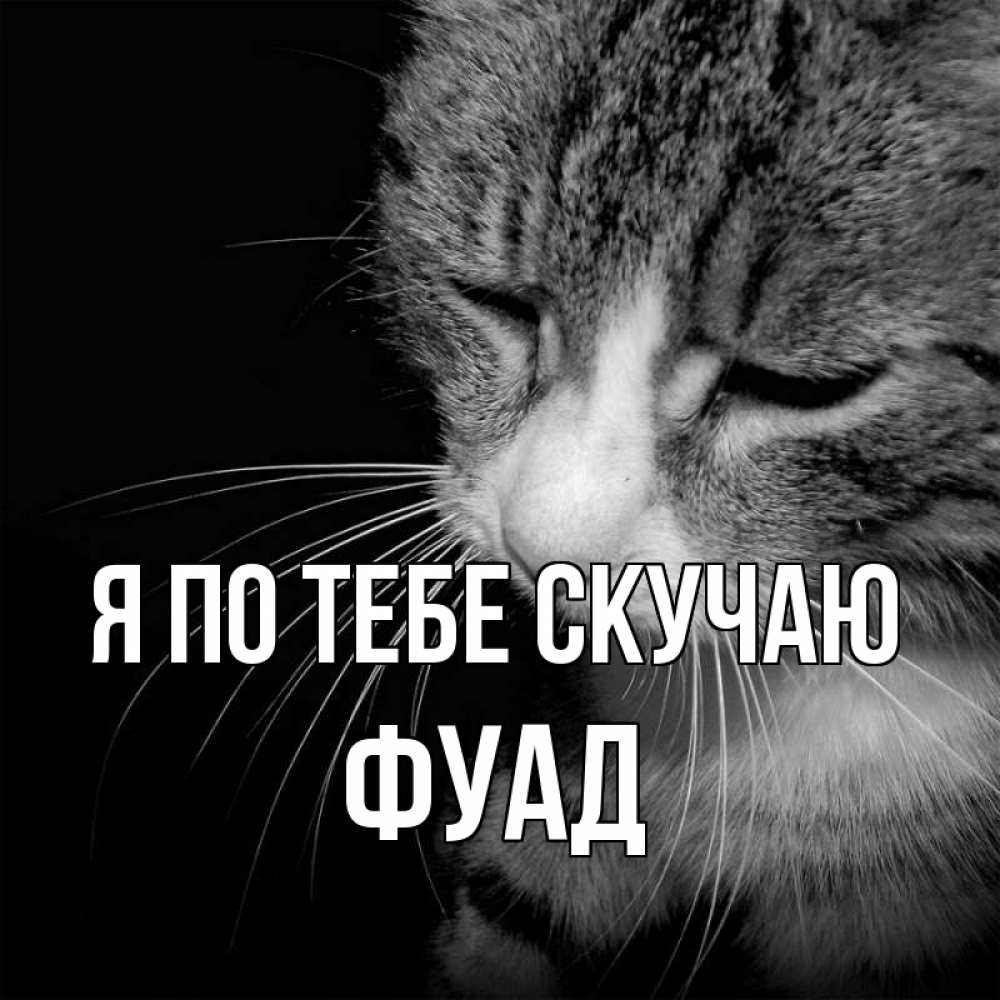 Открытка на каждый день с именем, Фуад Я по тебе скучаю мне скучно Прикольная открытка с пожеланием онлайн скачать бесплатно 