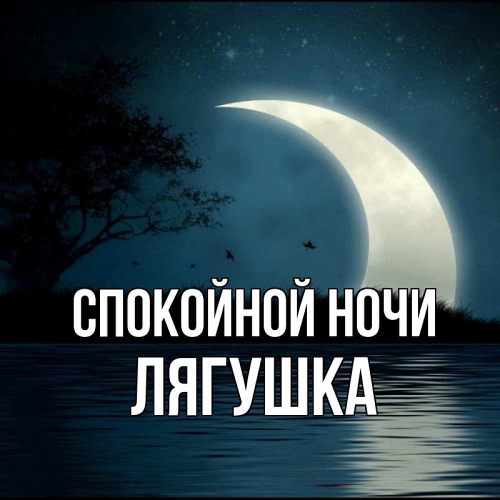 Лягушка спокойной ночи картинки