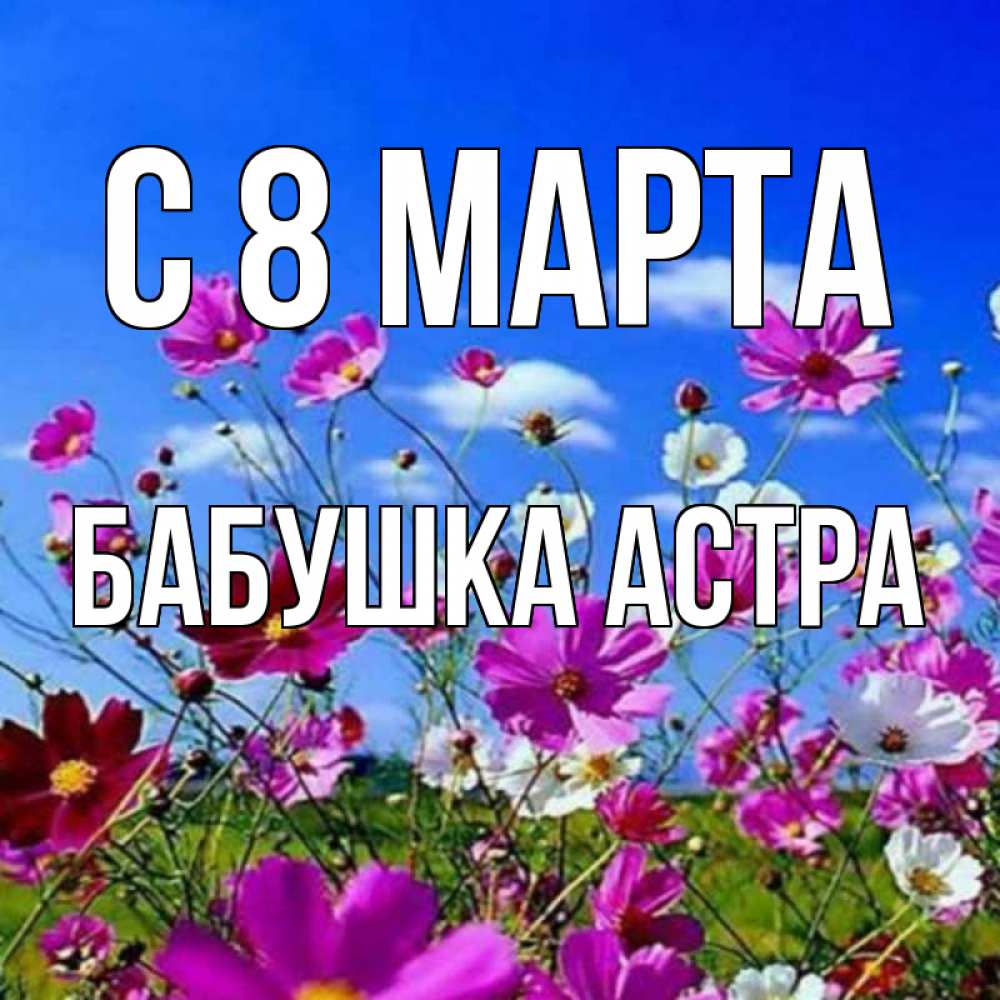 Открытка на каждый день с именем, Бабушка-Астра С 8 МАРТА цветы Прикольная открытка с пожеланием онлайн скачать бесплатно 