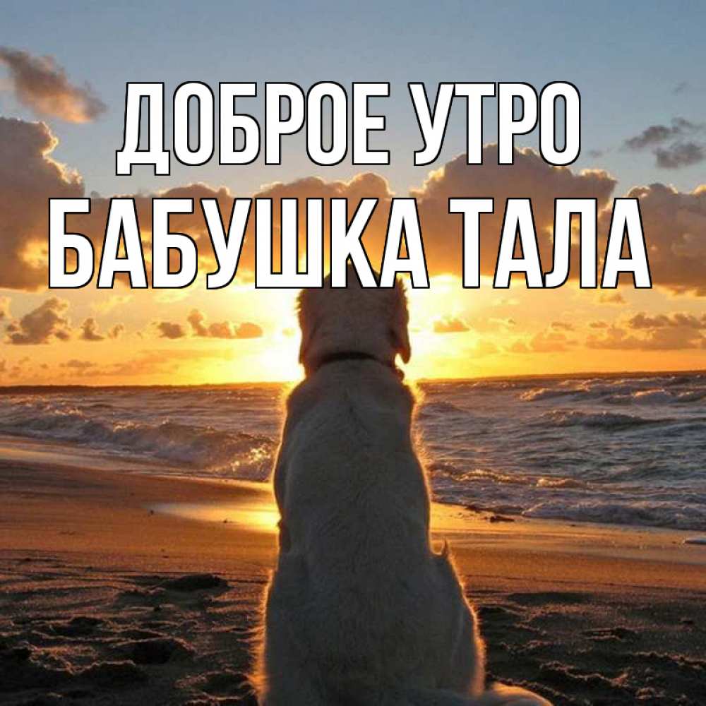 Открытка на каждый день с именем, Бабушка-Тала Доброе утро восход солнца Прикольная открытка с пожеланием онлайн скачать бесплатно 