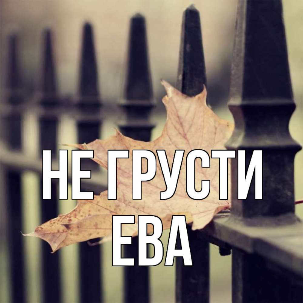 Открытка на каждый день с именем, Ева Не грусти лист клена Прикольная открытка с пожеланием онлайн скачать бесплатно 