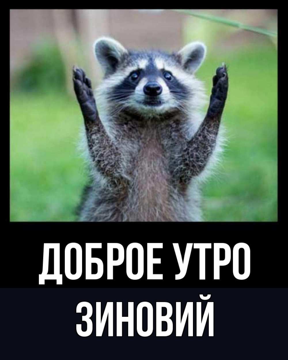 Открытка на каждый день с именем, Зиновий Доброе утро хорошее настроение утречком Прикольная открытка с пожеланием онлайн скачать бесплатно 