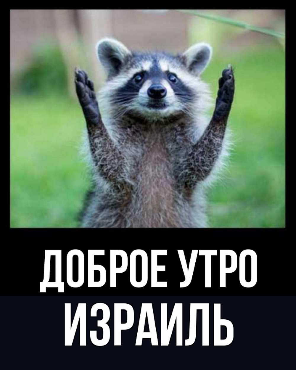 Открытка на каждый день с именем, Израиль Доброе утро хорошее настроение утречком Прикольная открытка с пожеланием онлайн скачать бесплатно 