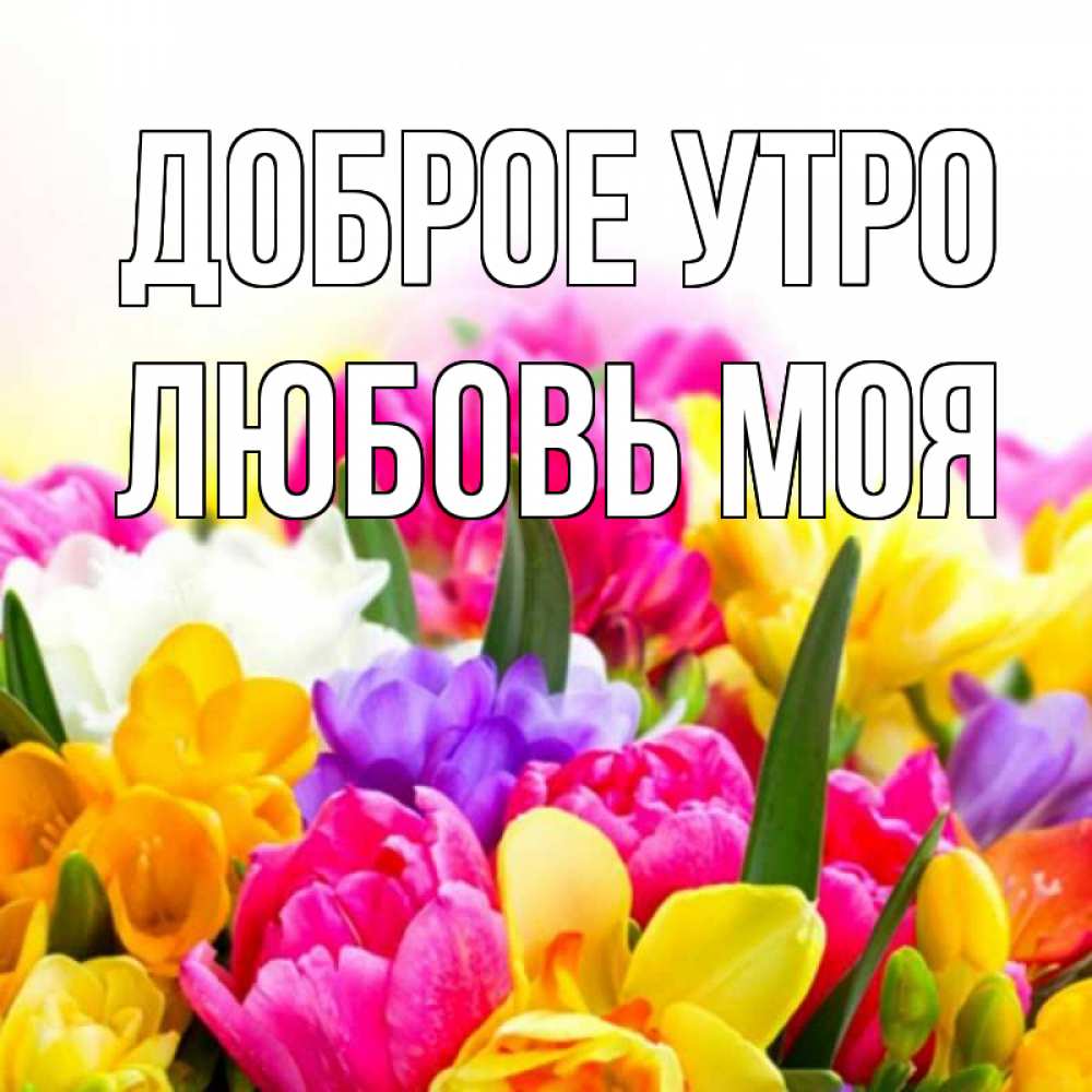Открытка на каждый день с именем, Любовь-моя Доброе утро создать открытку со свое подписью Прикольная открытка с пожеланием онлайн скачать бесплатно 