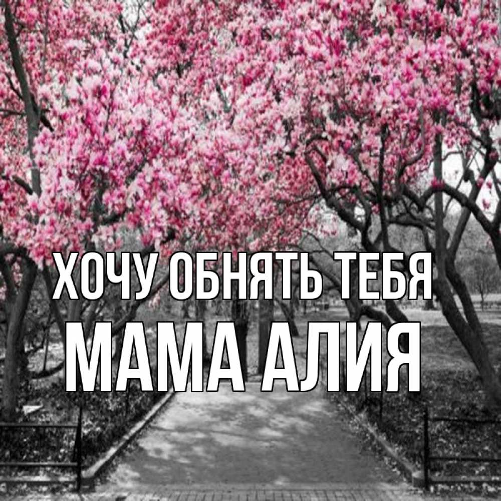 Открытка на каждый день с именем, Мама-Алия Хочу обнять тебя обработанное фото Прикольная открытка с пожеланием онлайн скачать бесплатно 