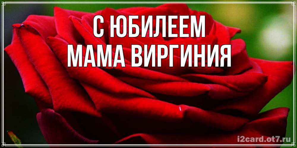 Открытка на каждый день с именем, Мама-Виргиния С юбилеем розочка очень красивая Прикольная открытка с пожеланием онлайн скачать бесплатно 