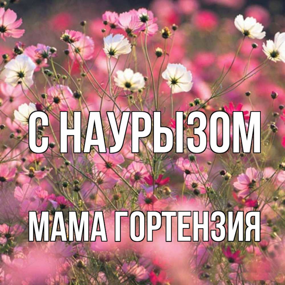 Открытка на каждый день с именем, Мама-Гортензия С наурызом красиво 1 Прикольная открытка с пожеланием онлайн скачать бесплатно 
