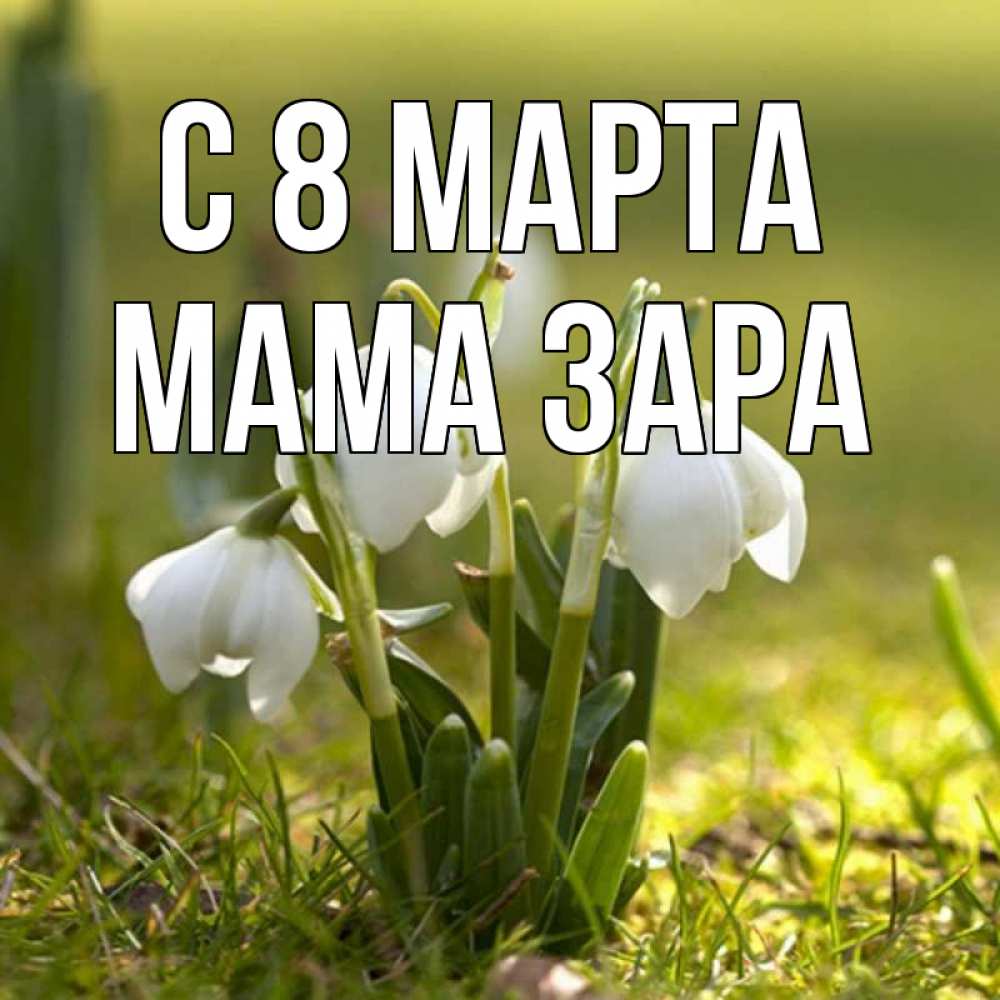 Открытка на каждый день с именем, Мама-Зара С 8 марта ранние цветы 2 Прикольная открытка с пожеланием онлайн скачать бесплатно 