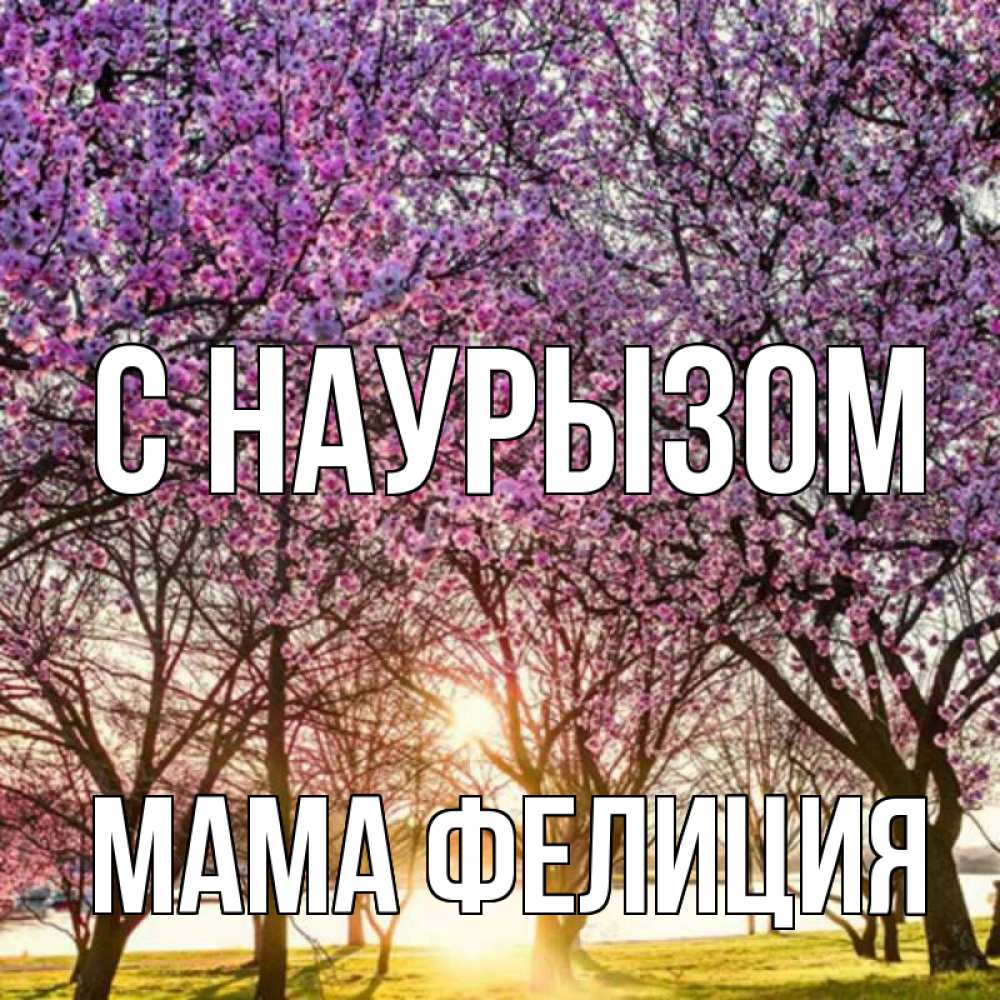 Открытка на каждый день с именем, Мама-Фелиция С наурызом праздник весны наурыз Прикольная открытка с пожеланием онлайн скачать бесплатно 