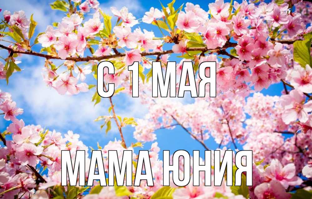 Открытка на каждый день с именем, Мама-Юния С 1 мая С 1 мая Прикольная открытка с пожеланием онлайн скачать бесплатно 