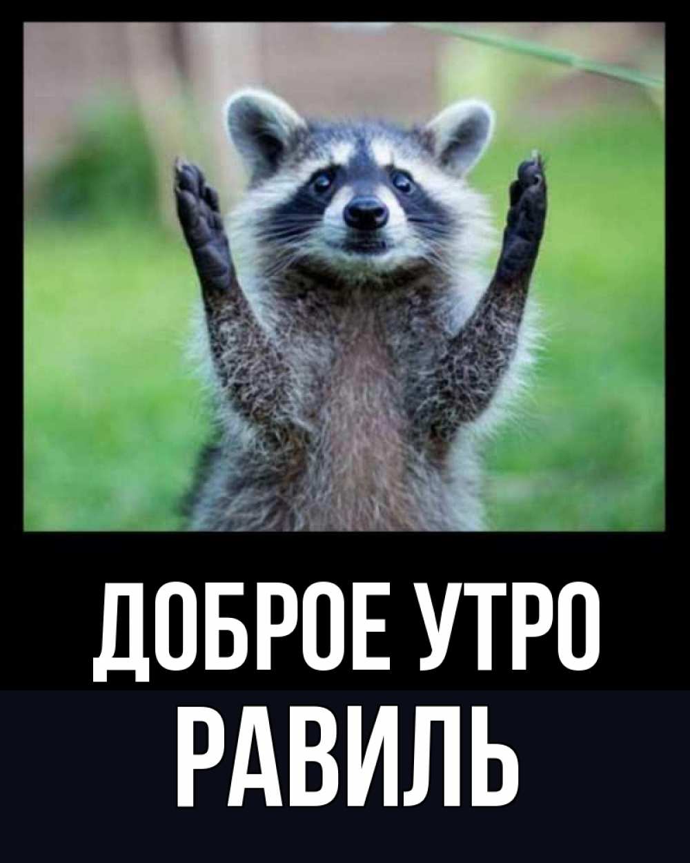 Открытка на каждый день с именем, Равиль Доброе утро хорошее настроение утречком Прикольная открытка с пожеланием онлайн скачать бесплатно 