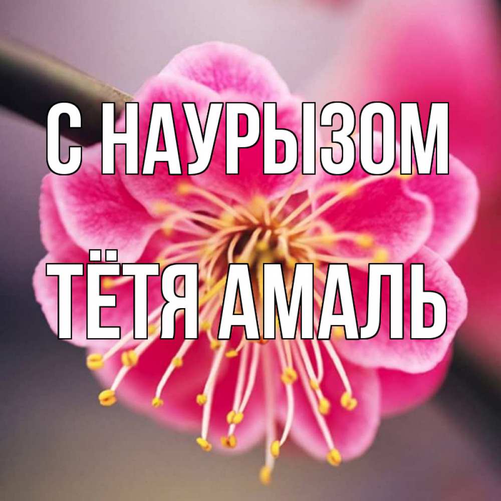 Открытка на каждый день с именем, Тётя-Амаль С наурызом цветы Прикольная открытка с пожеланием онлайн скачать бесплатно 