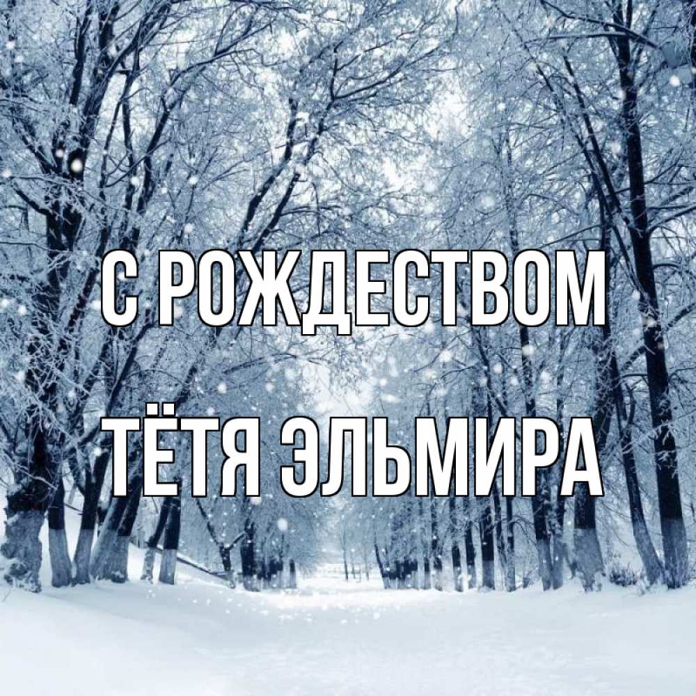 Открытка на каждый день с именем, Тётя-Эльмира С рождеством снег, лес, парк Прикольная открытка с пожеланием онлайн скачать бесплатно 