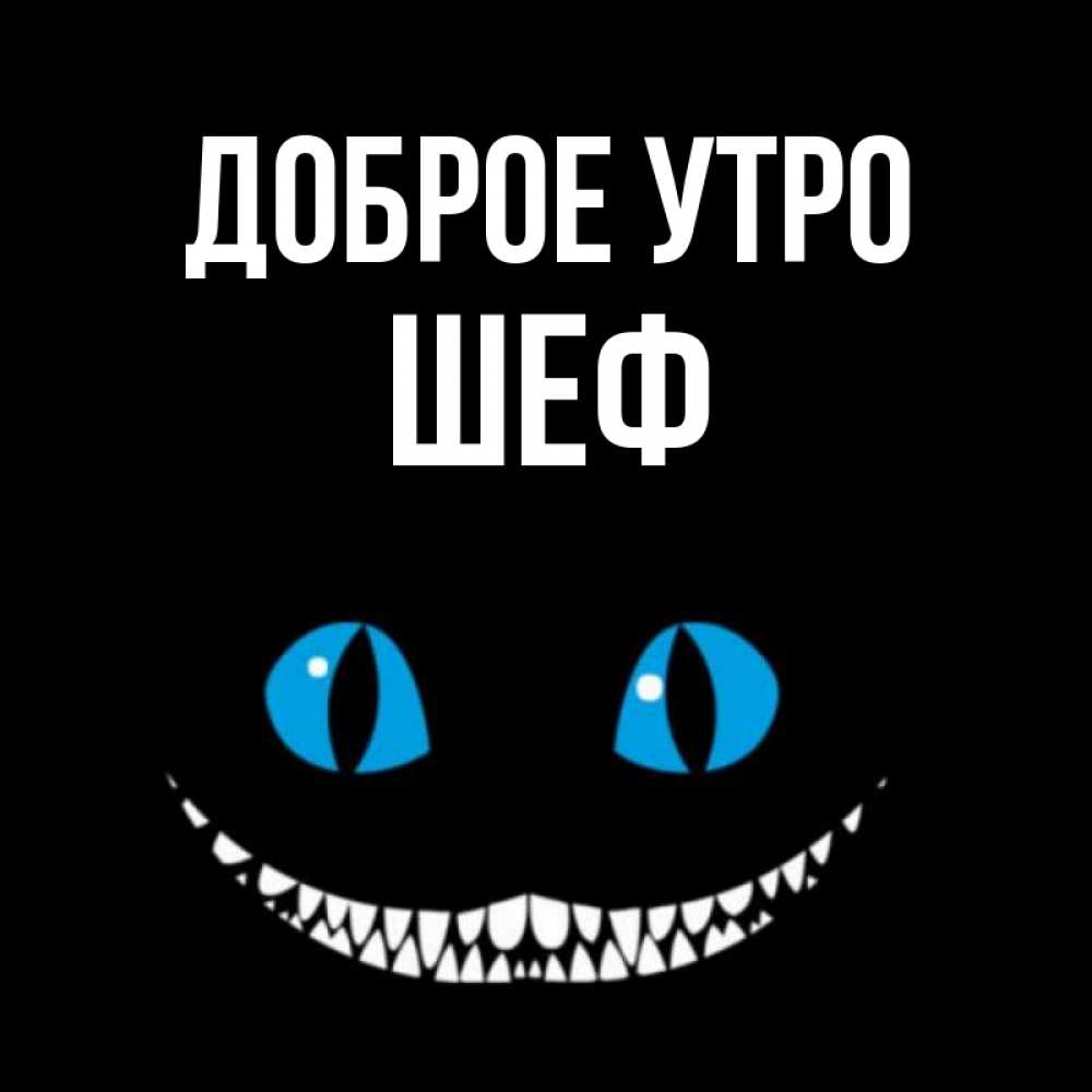 Открытка на каждый день с именем, Шеф Доброе утро голубые глаза и зубки Прикольная открытка с пожеланием онлайн скачать бесплатно 