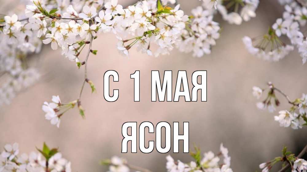 Открытка на каждый день с именем, Ясон С 1 мая С 1 мая Прикольная открытка с пожеланием онлайн скачать бесплатно 