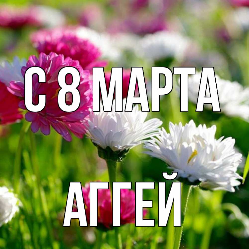 Открытка на каждый день с именем, Аггей С 8 марта международный женский день 1 Прикольная открытка с пожеланием онлайн скачать бесплатно 