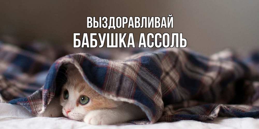 Открытка на каждый день с именем, Бабушка-Ассоль Выздоравливай не болейте с котиком Прикольная открытка с пожеланием онлайн скачать бесплатно 