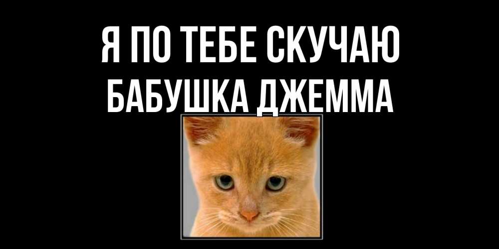 Открытка на каждый день с именем, Бабушка-Джемма Я по тебе скучаю открытки рыжий котенок скучает по тебе Прикольная открытка с пожеланием онлайн скачать бесплатно 