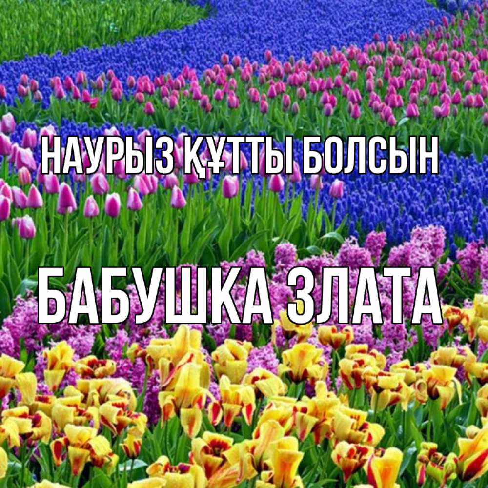 Открытка на каждый день с именем, Бабушка-Злата Наурыз құтты болсын цветы Прикольная открытка с пожеланием онлайн скачать бесплатно 
