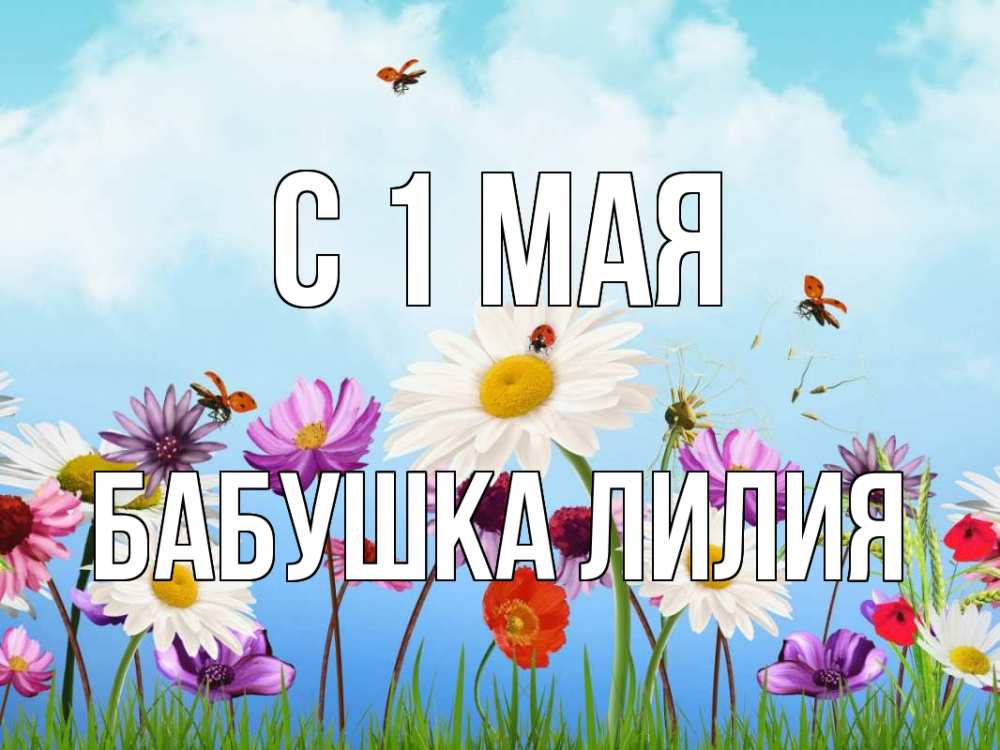 Открытка на каждый день с именем, Бабушка-Лилия С 1 мая С 1 мая Прикольная открытка с пожеланием онлайн скачать бесплатно 