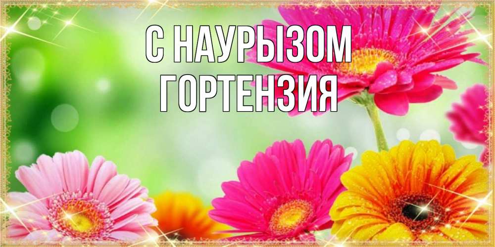 Открытка на каждый день с именем, Гортензия С наурызом цветочки для любимой женщины Прикольная открытка с пожеланием онлайн скачать бесплатно 