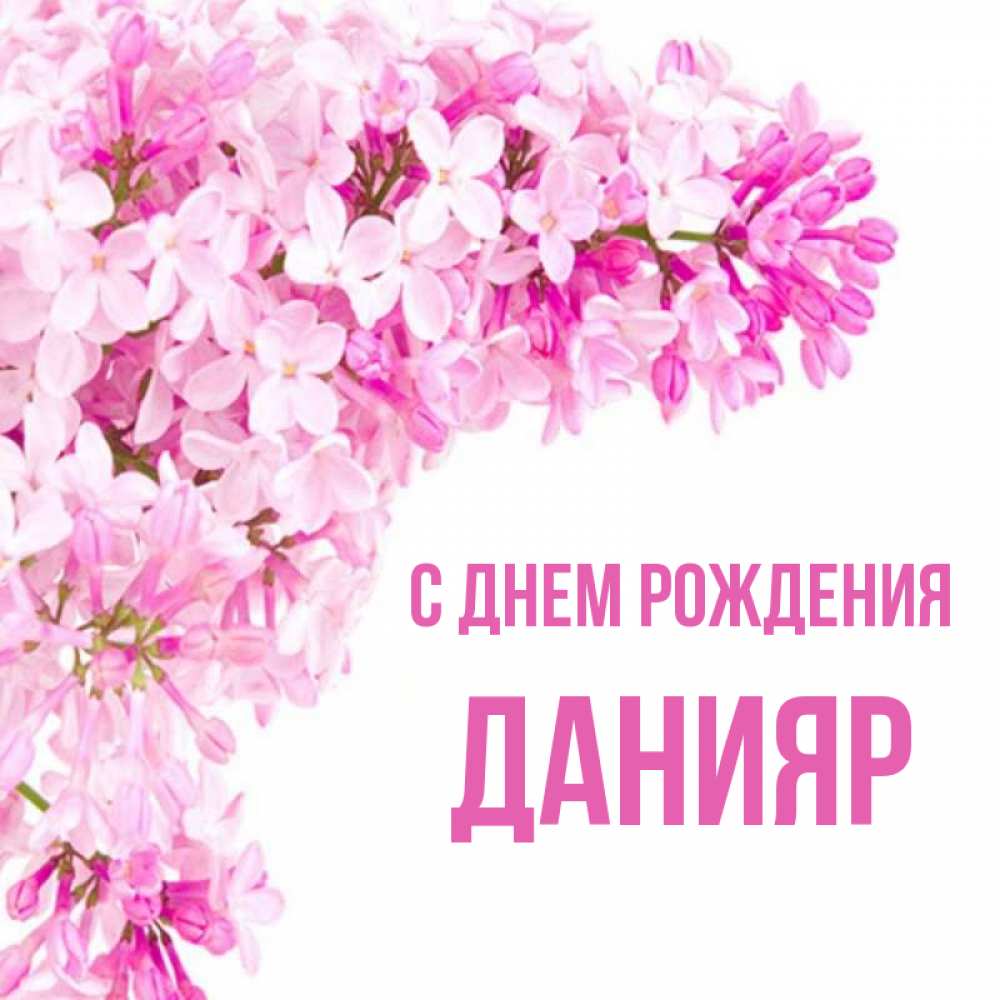 Открытка на каждый день с именем, Данияр С днем рождения Сирень на белом фоне Прикольная открытка с пожеланием онлайн скачать бесплатно 