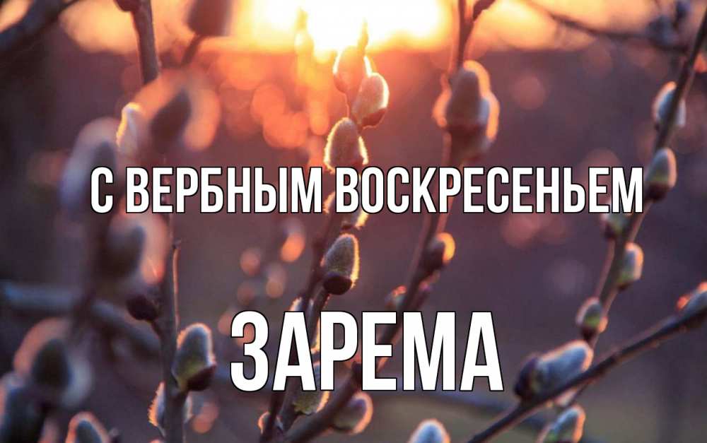 Открытка на каждый день с именем, Зарема С вербным воскресеньем верба Прикольная открытка с пожеланием онлайн скачать бесплатно 