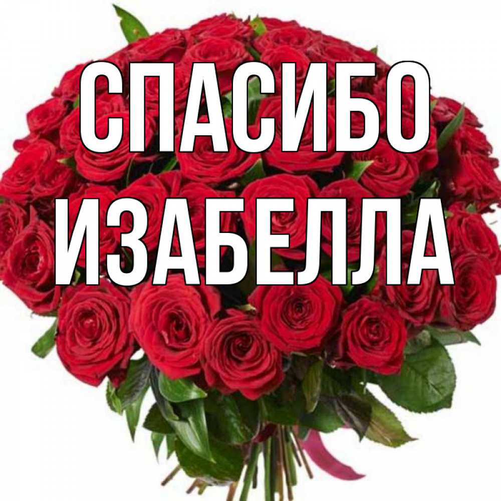 Открытка на каждый день с именем, Изабелла Спасибо букет красных роз Прикольная открытка с пожеланием онлайн скачать бесплатно 