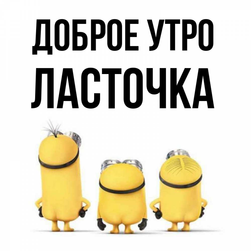 Открытка на каждый день с именем, Ласточка Доброе утро подписать открытку онлайн бесплатно Прикольная открытка с пожеланием онлайн скачать бесплатно 