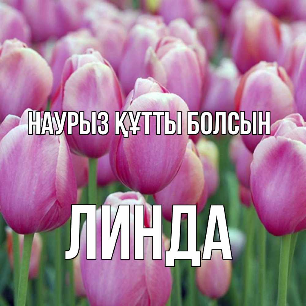 Открытка на каждый день с именем, Линда Наурыз құтты болсын на наурыз  день 3 Прикольная открытка с пожеланием онлайн скачать бесплатно 