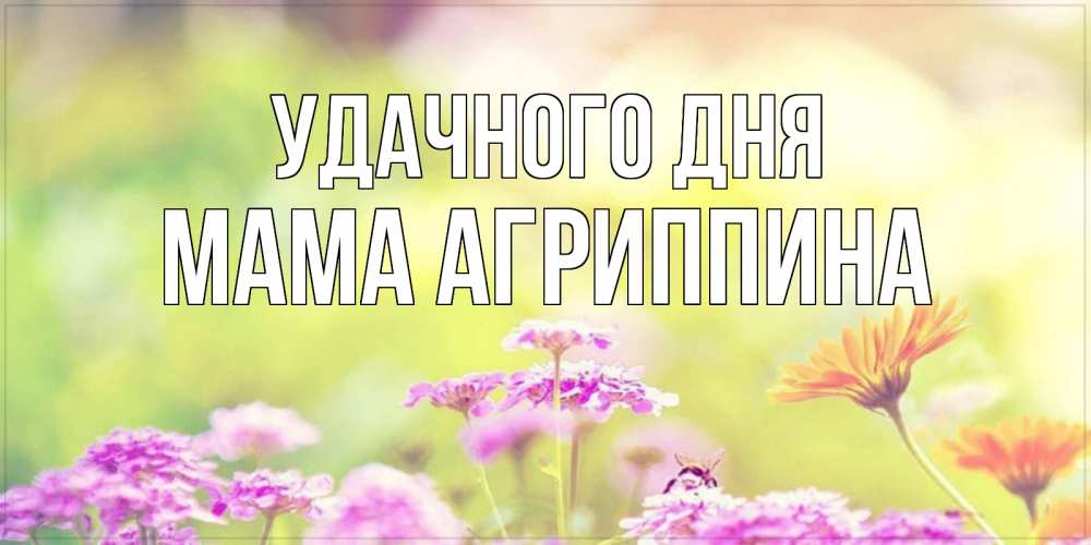 Открытка на каждый день с именем, Мама-Агриппина Удачного дня красивая открытка с летней темой Прикольная открытка с пожеланием онлайн скачать бесплатно 