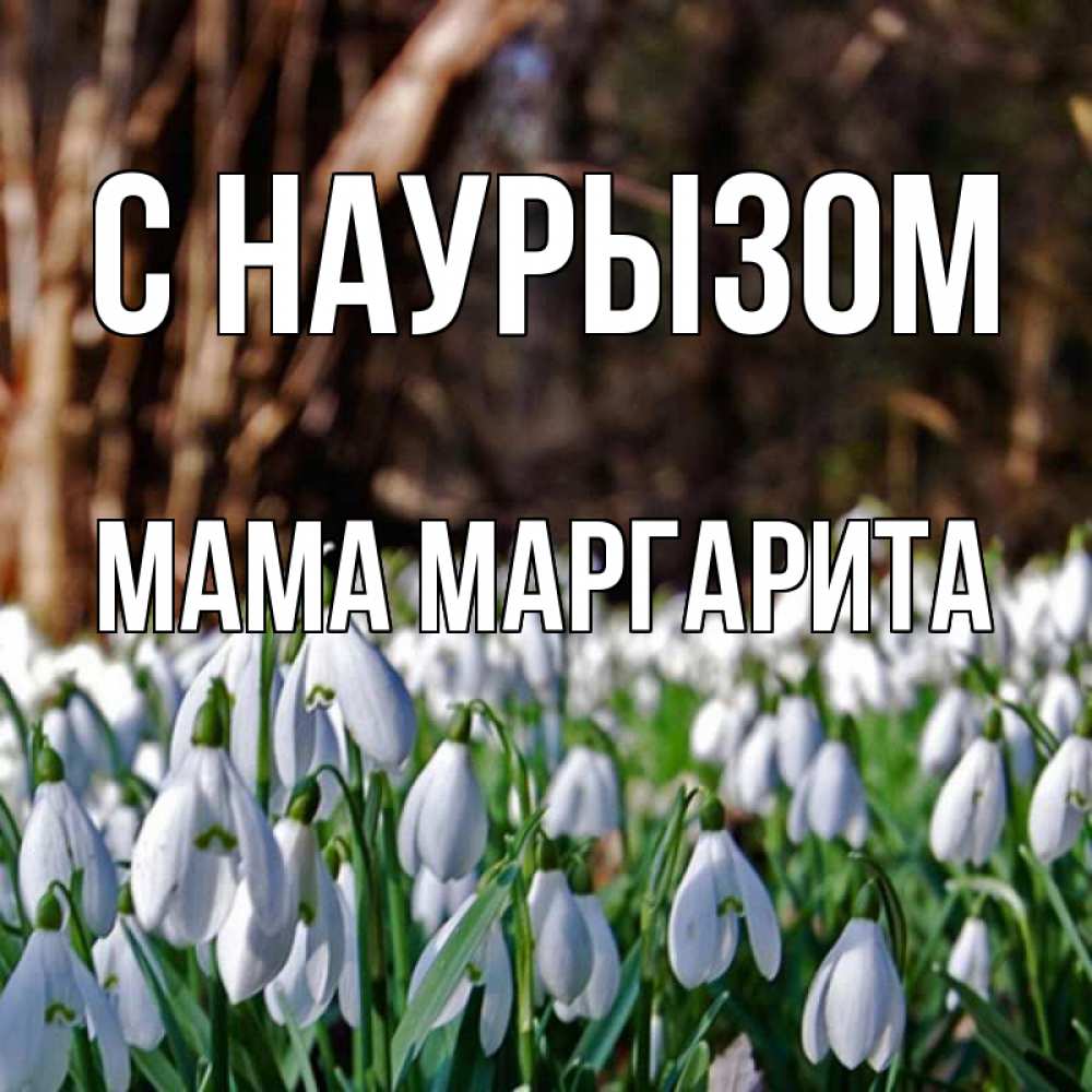 Открытка на каждый день с именем, Мама-Маргарита С наурызом с подснежниками 1 Прикольная открытка с пожеланием онлайн скачать бесплатно 