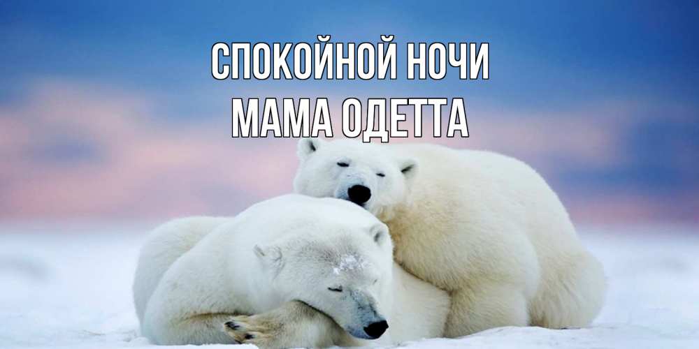 Открытка на каждый день с именем, Мама-Одетта Спокойной ночи белые медведи спят в обнимку Прикольная открытка с пожеланием онлайн скачать бесплатно 