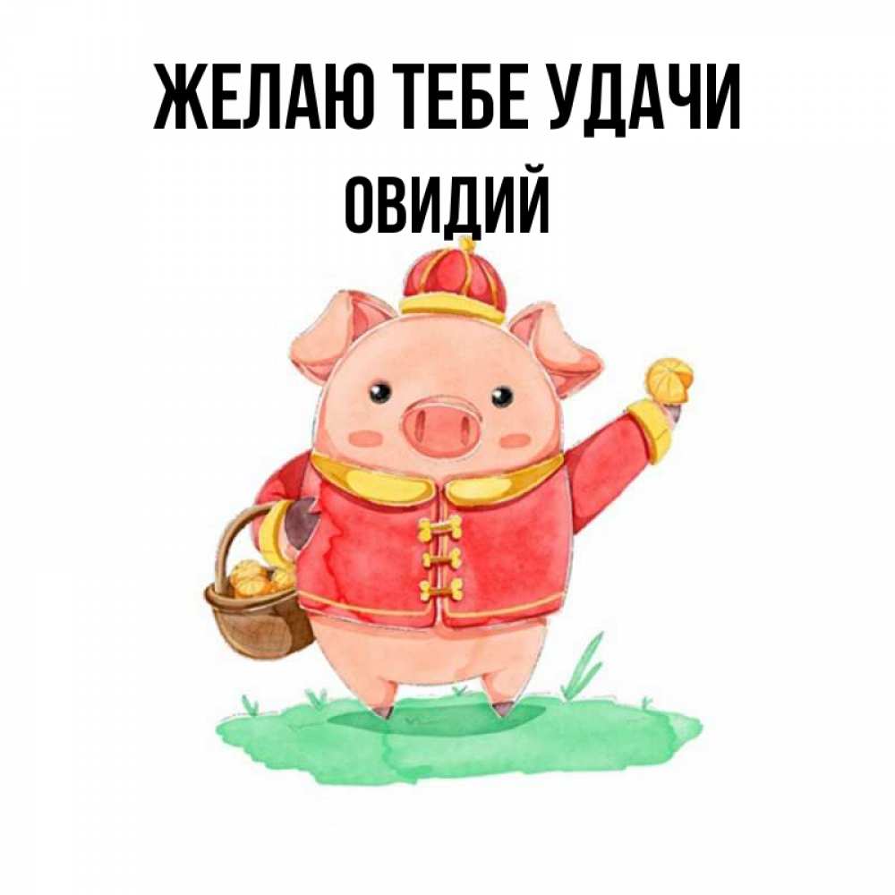 Открытка на каждый день с именем, Овидий Желаю тебе удачи поросенок Прикольная открытка с пожеланием онлайн скачать бесплатно 