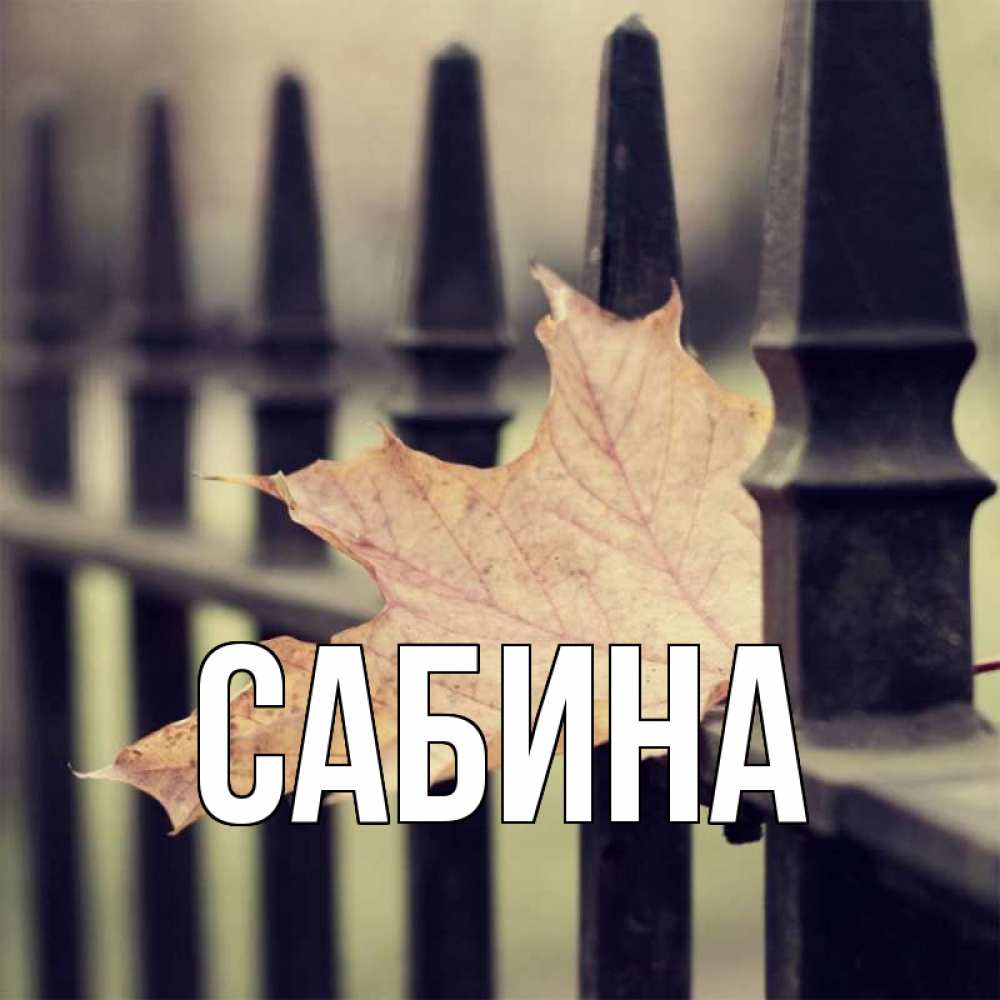 Открытка на каждый день с именем, Сабина Главная лист клена Прикольная открытка с пожеланием онлайн скачать бесплатно 