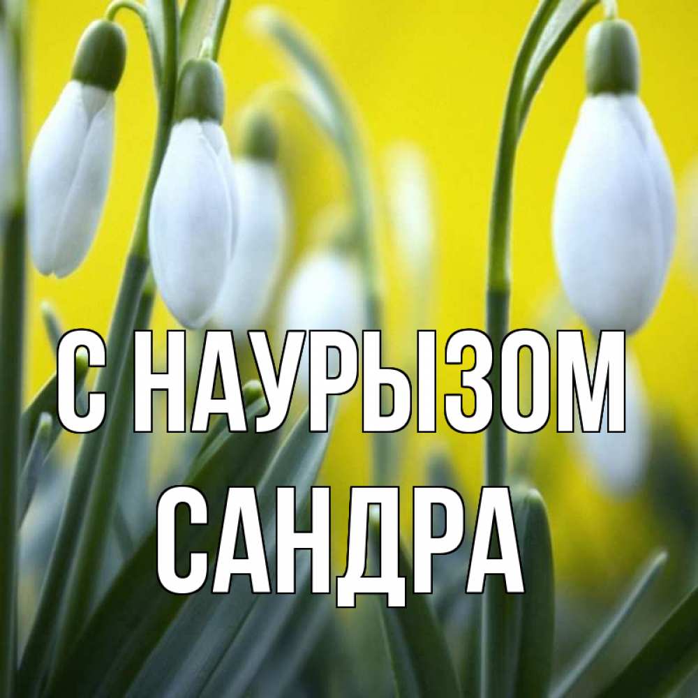 Открытка на каждый день с именем, Сандра С наурызом весенние цветы Прикольная открытка с пожеланием онлайн скачать бесплатно 
