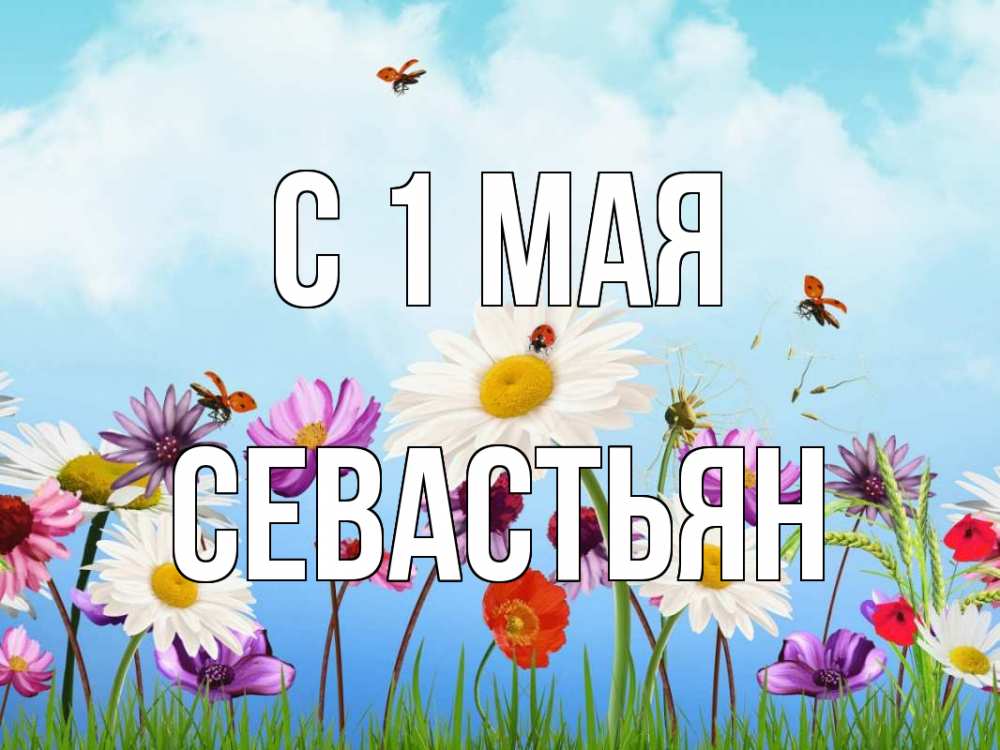 Открытка на каждый день с именем, Севастьян С 1 мая С 1 мая Прикольная открытка с пожеланием онлайн скачать бесплатно 