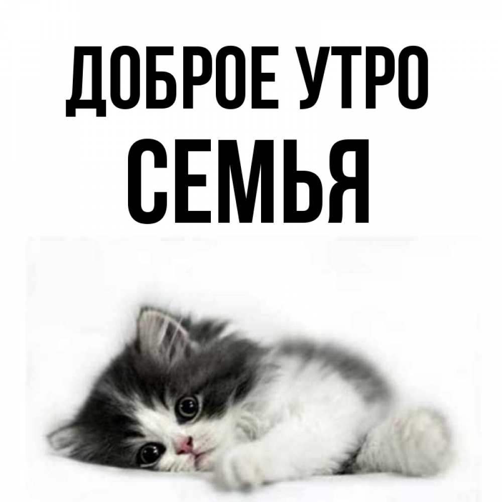 Открытка на каждый день с именем, Семья Доброе утро кот лапки Прикольная открытка с пожеланием онлайн скачать бесплатно 