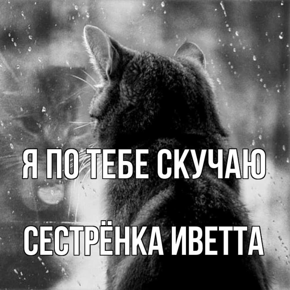 Открытка на каждый день с именем, Сестрёнка-Иветта Я по тебе скучаю скорее ко мне приходи 1 Прикольная открытка с пожеланием онлайн скачать бесплатно 
