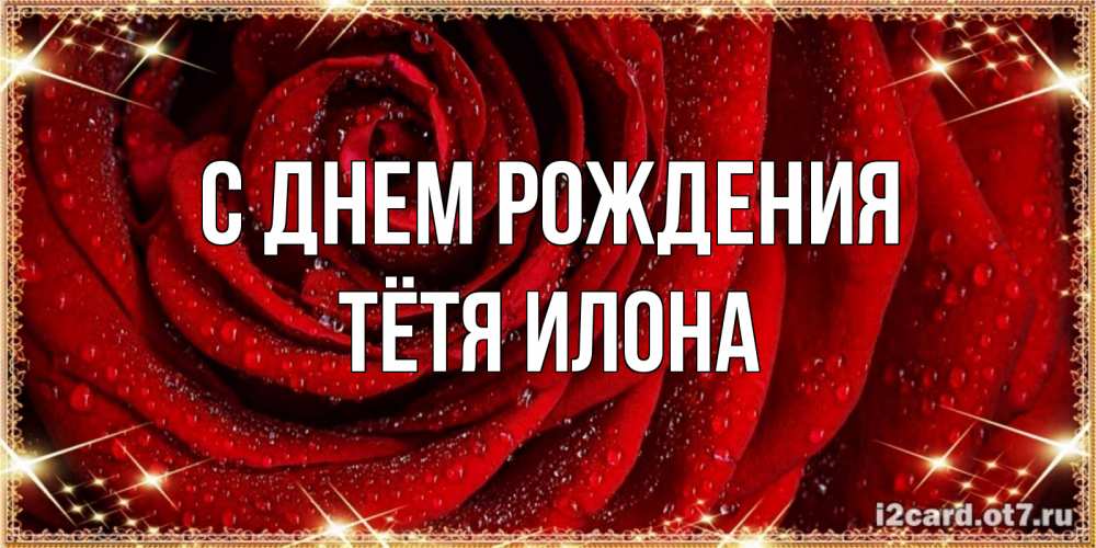 Открытка на каждый день с именем, Тётя-Илона С днем рождения роса на розе блестящая в лучах солнца Прикольная открытка с пожеланием онлайн скачать бесплатно 