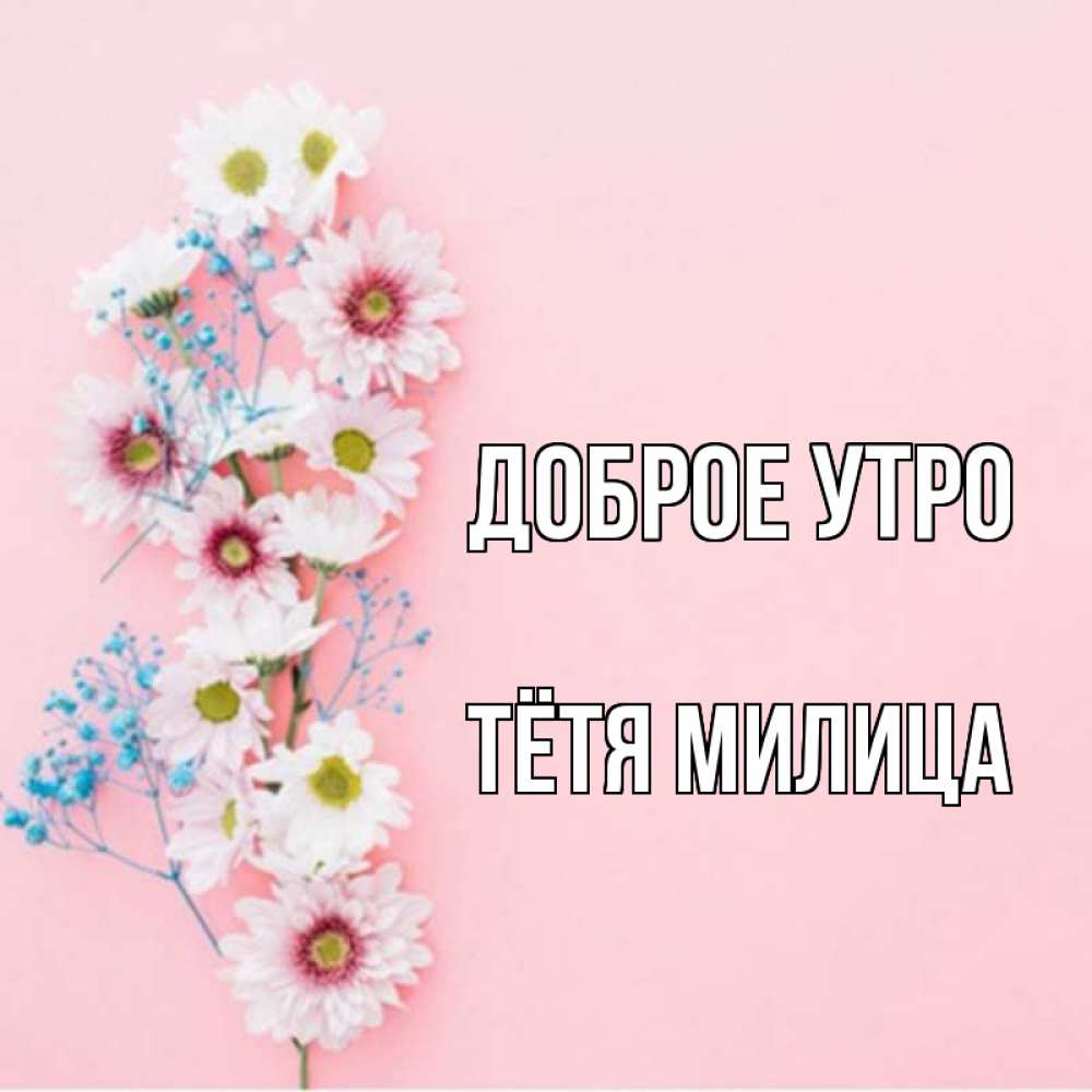 Открытка на каждый день с именем, Тётя-Милица Доброе утро цветы с подписью Прикольная открытка с пожеланием онлайн скачать бесплатно 