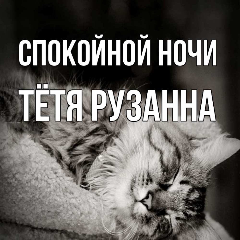 Открытка на каждый день с именем, Тётя-Рузанна Спокойной ночи котярик пушистый Прикольная открытка с пожеланием онлайн скачать бесплатно 